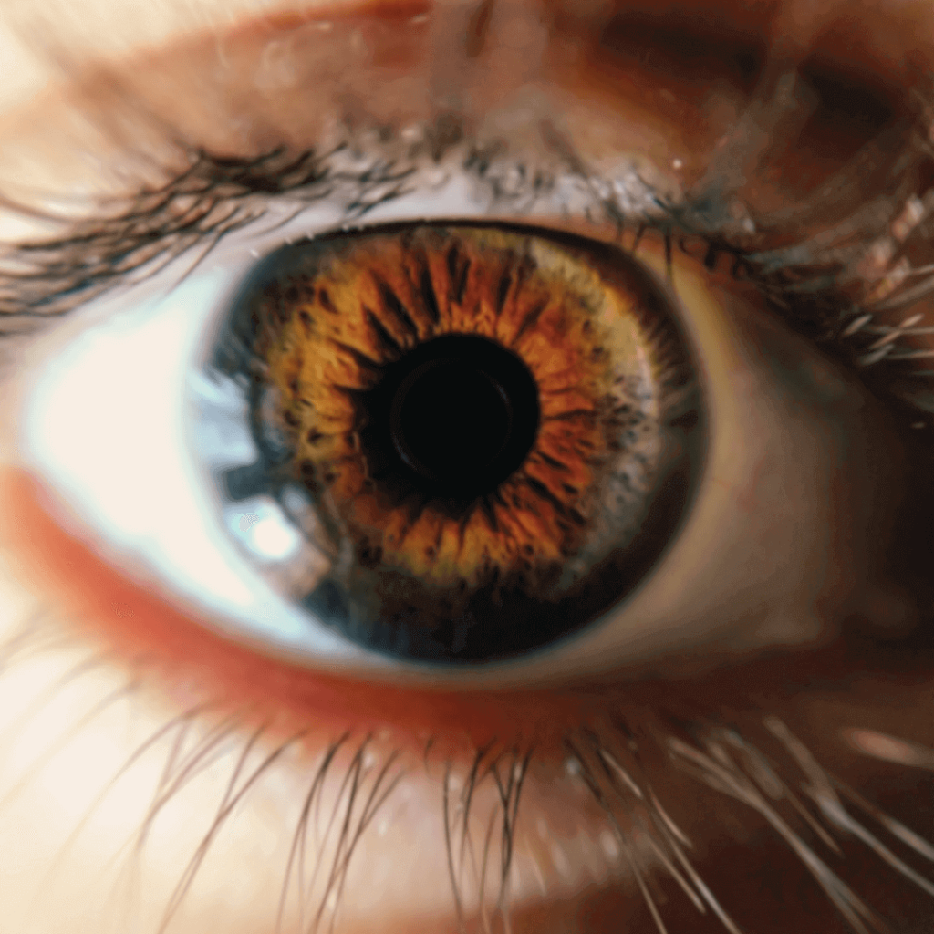 ourvision